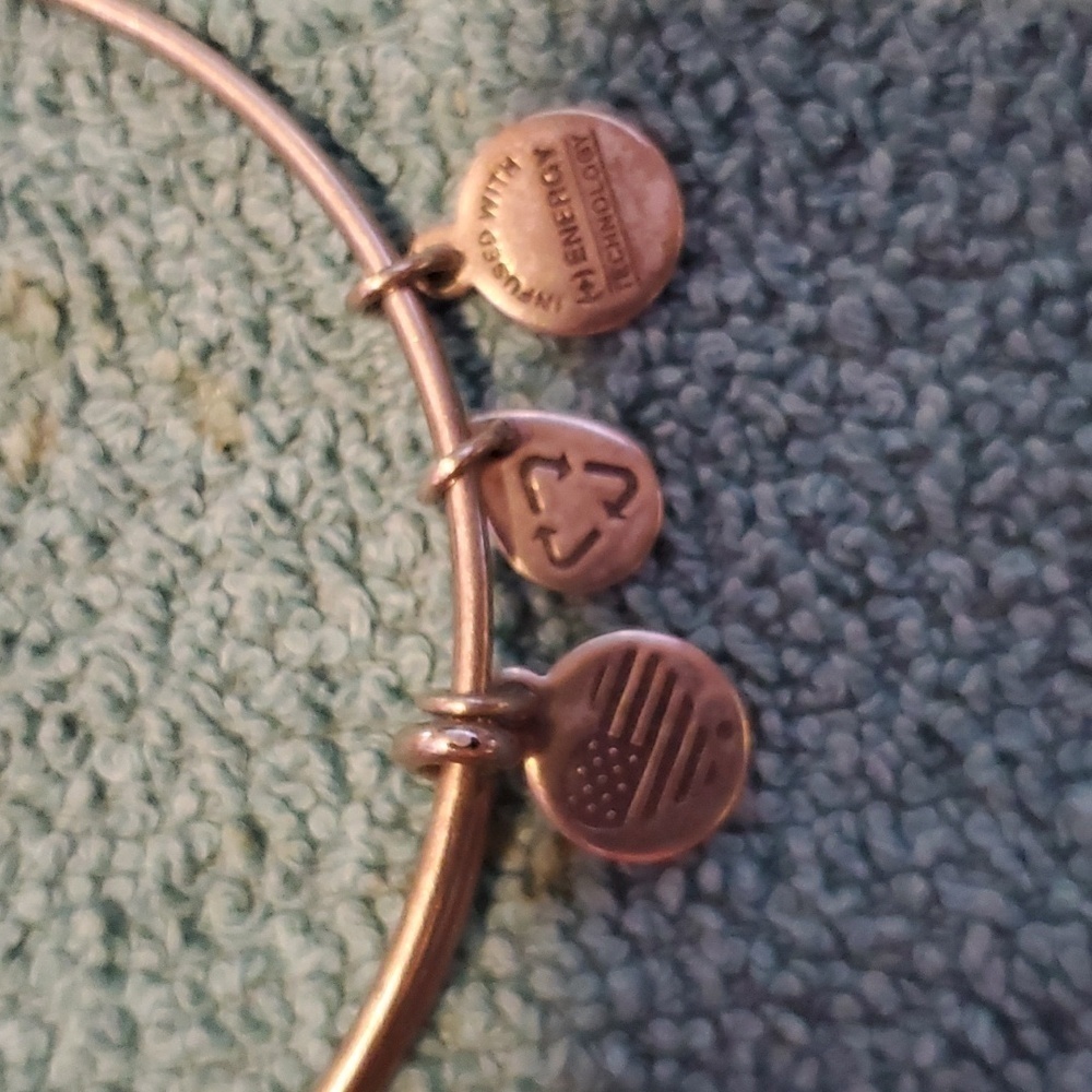 Alex & Ani Bangle Bracelet - Picture 3 of 4